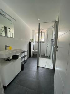 y baño con ducha, lavabo y espejo. en Ferienwohnung Eifelglück, en Pelm
