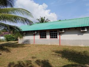 ein Gebäude mit einem grünen Dach und einer Palme in der Unterkunft Bohok Guesthouse in Pantai Cenang