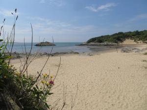 a sandy beach with some flowers and the ocean at Bryn Gwyn & Tegfryn - Pair of 4 Bedroom Cottages - Sea & Mountain Views Borth y Gest in Porthmadog