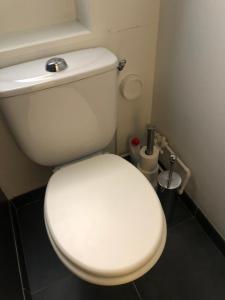 W pokoju znajduje się łazienka z białą toaletą. w obiekcie LE NID DES HALLES, au cœur du Boulingrin w mieście Reims