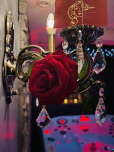 une rose rouge est suspendue à un lustre dans l'établissement O Venus Spa, à Sin-le-Noble