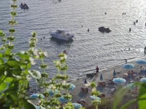 Paesaggio naturale nelle vicinanze dell'appartamento