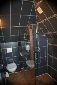 een badkamer met een toilet en een douche met blauwe tegels bij Echappée en Baie de Somme - vue magnifique sur la Baie in Saint-Valery-sur-Somme