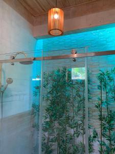 a bathroom with a glass shower with a plant at Bungalow Sáng Tươi Mountains in Phu Quoc