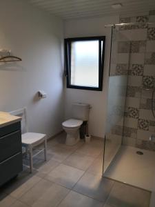 een badkamer met een toilet en een glazen douche bij Gîtes des Embruns in Agon Coutainville