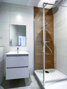 La salle de bains est pourvue d'une douche et d'un lavabo. dans l'établissement Hyper-centre de Grenoble, ambiance tropicale, wifi fibre, à Grenoble
