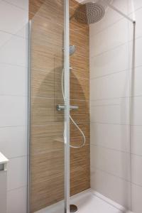 La salle de bains est pourvue d'une douche avec une porte en verre. dans l'établissement Hyper-centre de Grenoble, ambiance tropicale, wifi fibre, à Grenoble