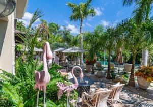 阿德赫的住宿－Royal River, Luxury Hotel - Adults Only，花园里一群粉红色的火烈鸟