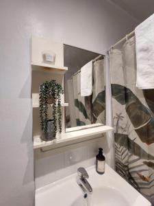 a bathroom with a sink and a mirror and a sink at Sunny studio and the best view of the city, Glebe in Sydney