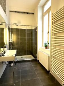 a bathroom with a shower and a sink at Stephansdom apartment in Vienna