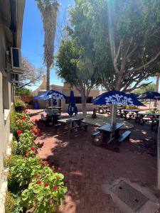 un groupe de tables de pique-nique avec des parasols et des fleurs bleus dans l'établissement Pofadder Hotel by Country Hotels, à Pofadder