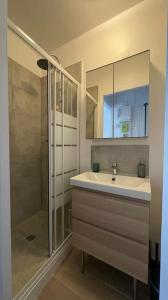 uma casa de banho com um lavatório e um chuveiro em Chez Jérôme et Dina em Aubervilliers