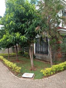 a house with two trees and a sign in the grass at Amigo apartments in Kisumu