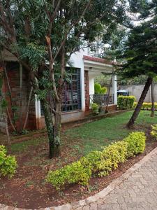 una casa con un árbol en el patio delantero en Amigo apartments en Kisumu
