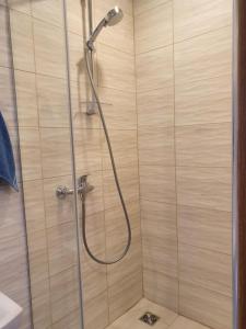 a shower with a shower head in a bathroom at Šolena in Alytus
