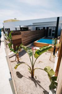 a house with a swimming pool and a palm tree at Mesanto Luxury Suites in Megalochori