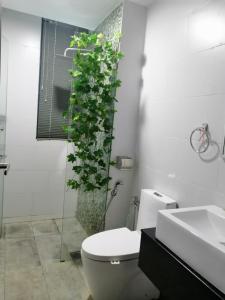een badkamer met een toilet en een plant aan de muur bij Mupify Homestay Jazz Suites 4 in Kuching