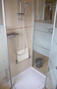 een douche in een badkamer met een glazen deur bij Fremdenzimmer Klinge in Haina