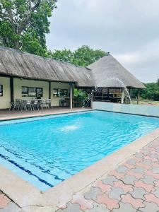 a swimming pool in front of a building at THE GALAXY FOREST LODGE in Manguzi