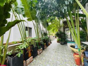 a room with many plants and a walkway at Kim Villa Swan Bay - Zone 8 in Phước Lý