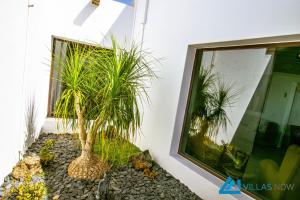 Ogród w obiekcie 222 - Villa Noches De Luna by Villas Now Ltd