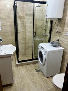 a bathroom with a washing machine and a shower at Juliya Apartment in Kavadarci
