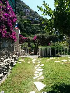 a grassy area with a fence and some trees at La Maliosa D' Arienzo in Positano