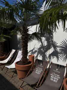 un gruppo di sedie da giardino con una palma di Landhaus Hotel Neuss a Neuss