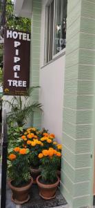 Vottorð, verðlaun, skilti eða annað skjal til sýnis á Hotel Pipal Tree