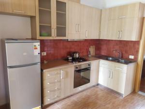 Η κουζίνα ή μικρή κουζίνα στο Vila 7 Divjake