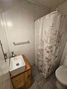 a bathroom with a sink and a shower curtain at Casa Ellies Hotel Boutique in Puerto Varas