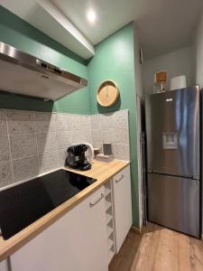 a kitchen with a stainless steel refrigerator and green walls at HYPERCENTRE - Charmant T2 et sa cour extérieure in Blois