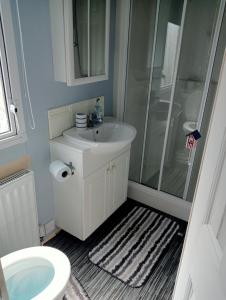 a bathroom with a shower and a sink and a toilet at 2 Bedroom 6 Birth Caravan - Towyn in Abergele