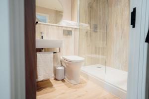 a bathroom with a toilet and a shower and a sink at The Dunes in Tenby