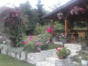 Gallery image of House Nina in Poljanak
