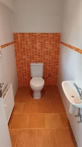 Koupelna v ubytování Apartmán Franz Josef