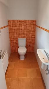 Koupelna v ubytování Apartmán Franz Josef + 23 fotografií