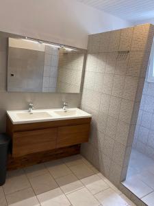 La salle de bains est pourvue d'un lavabo et d'un miroir. dans l'établissement Ti kaz peruches, à Saint-Pierre