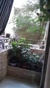 En balkong eller terrasse på القاهرة