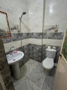 uma casa de banho com um WC e um lavatório em mesho falcon Pyramids view inn no Cairo