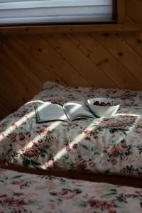- un lit avec 2 livres et un bol dans l'établissement "Polne Domki" Osada Drewniana w Harklowej, à Harklowa