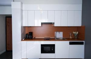 Kuchyň nebo kuchyňský kout v ubytování Merkuri apartments