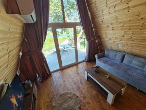 Alex's House Shirokë的休息区