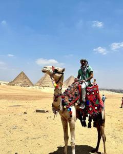 Un homme à dos de chameau devant les pyramides dans l'établissement mesho falcon Pyramids view inn, au Caire