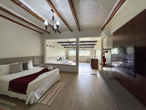 1 dormitorio con 1 cama grande y TV en Pousada Santa Fe de Penedo, en Penedo