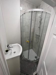 a bathroom with a shower and a sink at Cosy Stunning Flat in London