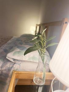 バレンシアにあるPeres i Valero Habitaciones en Piso Compartidoのベッド横のテーブルに座るガラスの花瓶