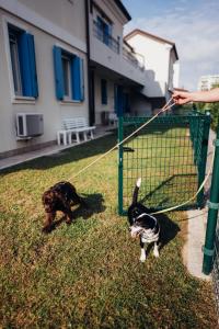 a person holding a dog on a leash next to a fence at ANIMA JESOLO - DRAGO VILLAGE, Beach & Pool, 2 Parkings in Lido di Jesolo