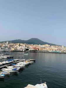 a bunch of boats are docked in a harbor at Joy Guest House in Torre del Greco
