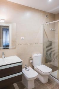 La salle de bains est pourvue de toilettes, d'un lavabo et d'une douche. dans l'établissement Piso nuevo y espacioso en el centro de Mundaka, à Mundaka